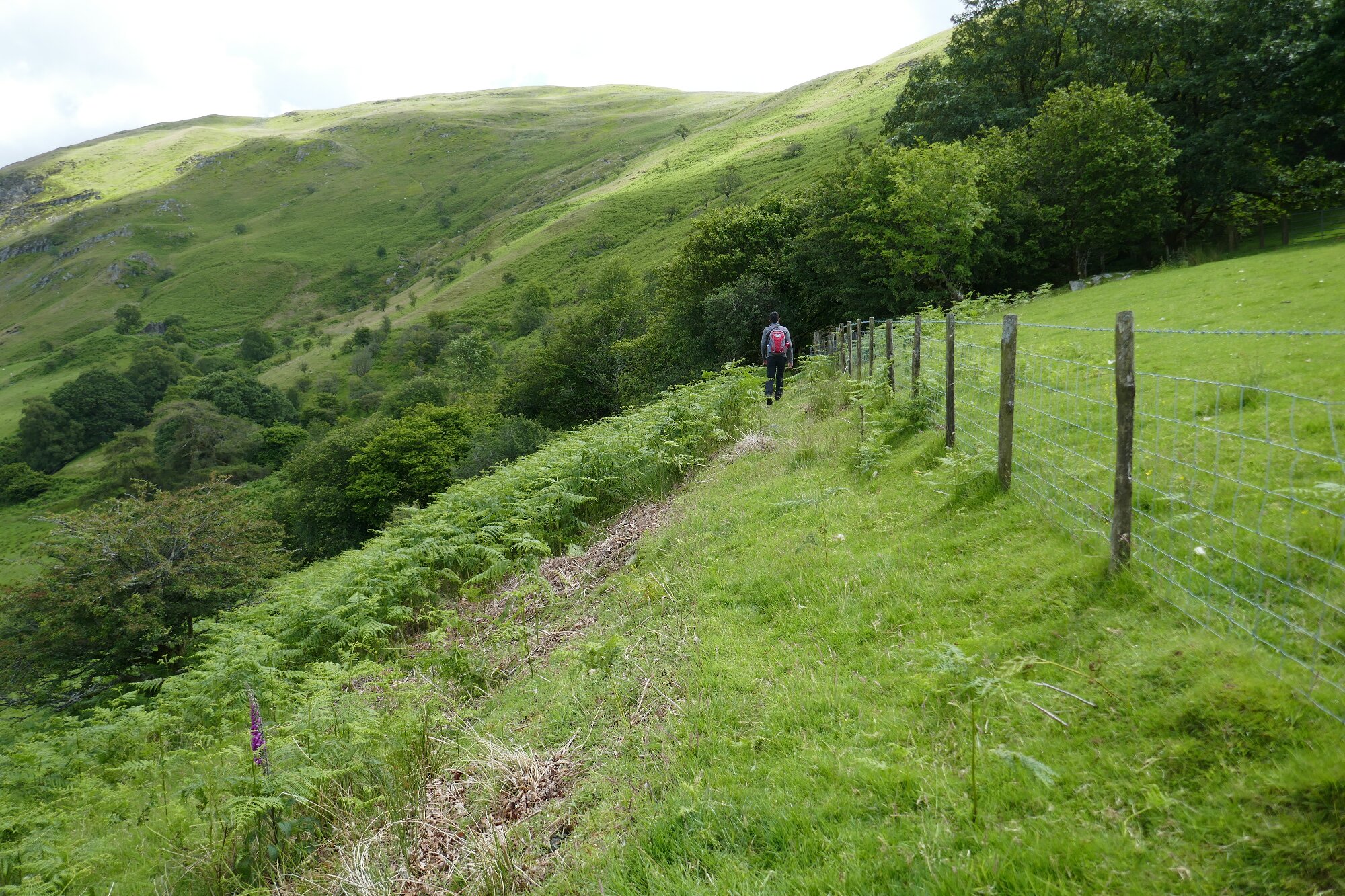 RachelSeabrook.net | Wild Walking | Cwmystwyth | pic12